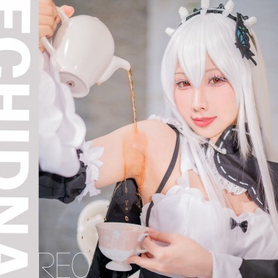 HaneAme Echidna