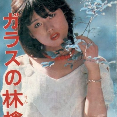 ガラスの林檎１