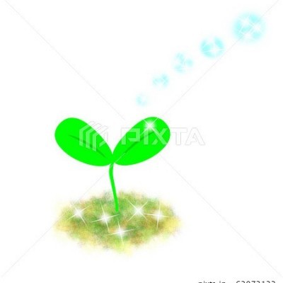 【リニューアル】るみ・るーみ