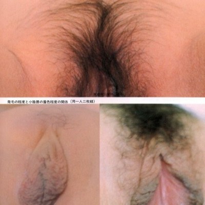 研究