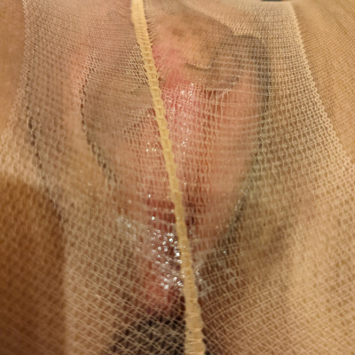 ハミ出し