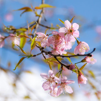 happylife2525's avatar