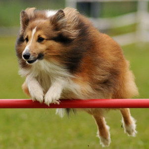 kinako_mochi60's avatar