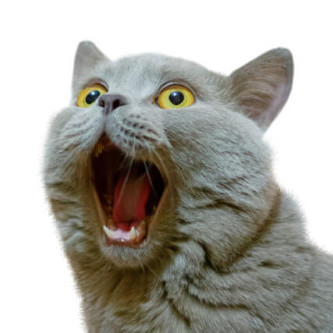 moumounokami's avatar