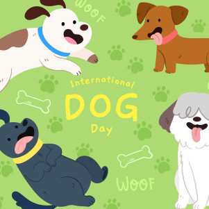 Doglove2026's avatar