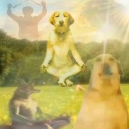 banbankusukusu's avatar