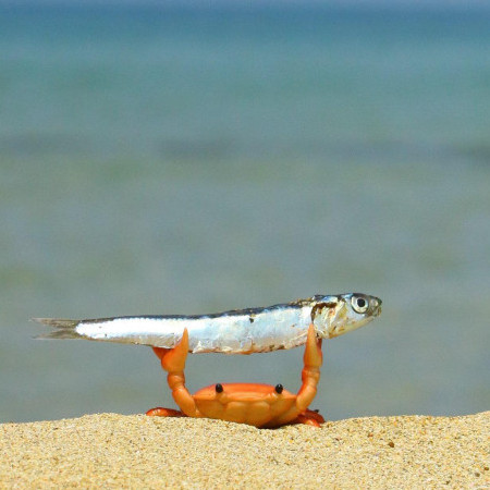 LeruLeru's avatar