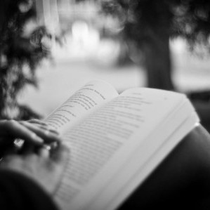 jam20025678's avatar