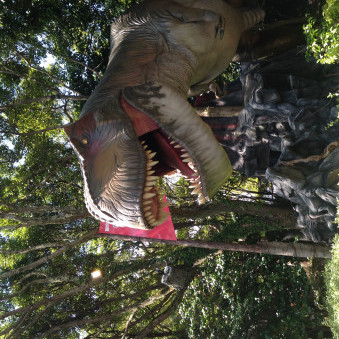 hana87hana87's avatar