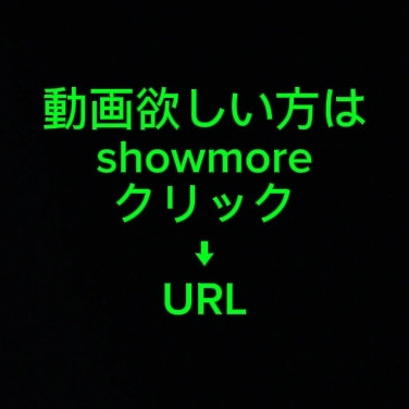 519's avatar