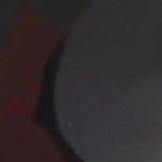 snowfox's avatar