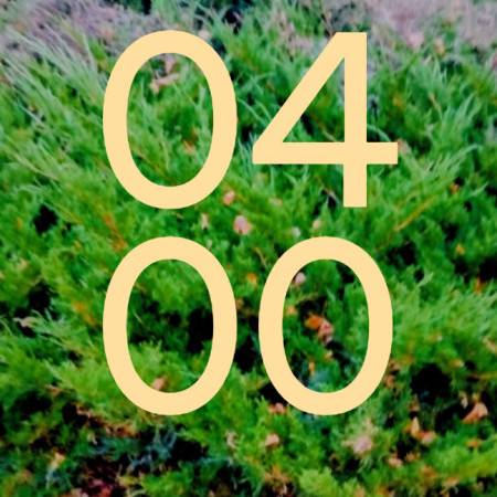 Waxmax23's avatar