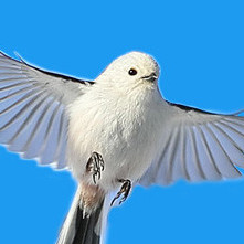 Mobu594qPi8's avatar