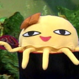 kocikoci's avatar