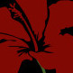 rmzashev's avatar