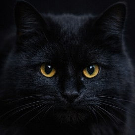 slswk1224's avatar