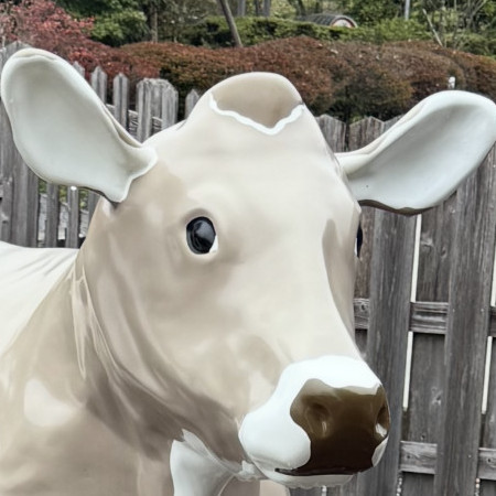 tamera's avatar