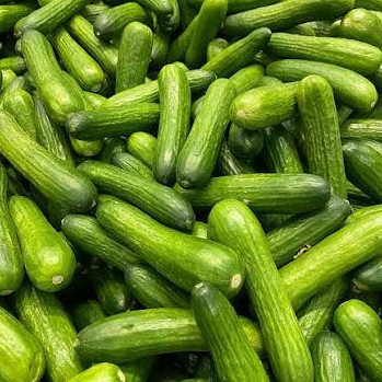 CucumberPickle's avatar