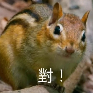 Guan2846's avatar
