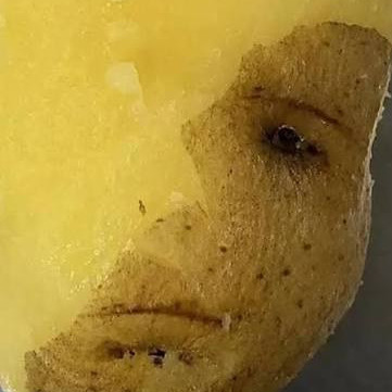 I_like_poteto's avatar