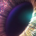 UserOne01's avatar