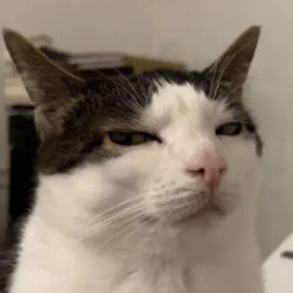 paipaicho's avatar