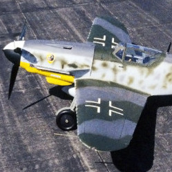 tora__tora's avatar