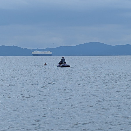 camellia2309's avatar