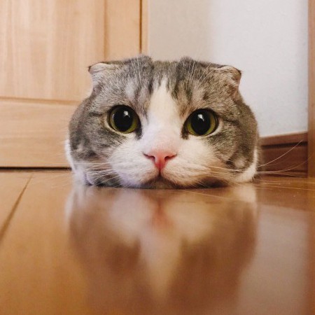 Eromasa123's avatar