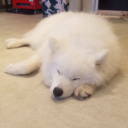 blackkitasan's avatar