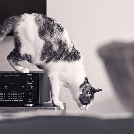 lockstock1207's avatar