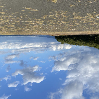 shuchandayo's avatar