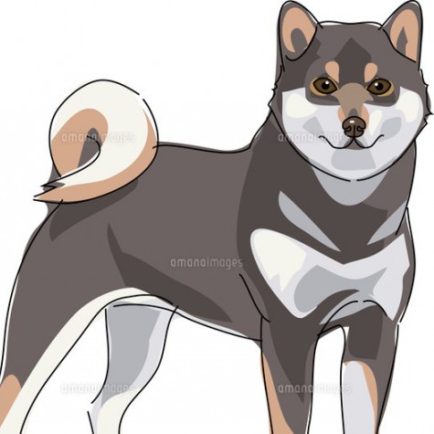 tashikume's avatar