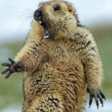 experiments's avatar