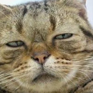 neotokyo7777's avatar