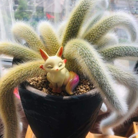 kuteznh0k123's avatar