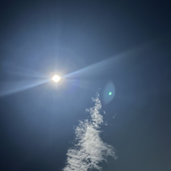 jimmygood6666's avatar