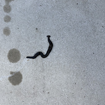 masa19870710's avatar