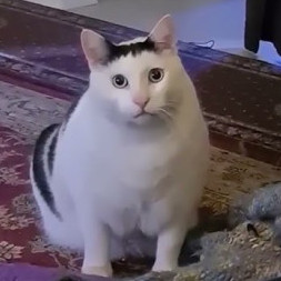 incident2222's avatar