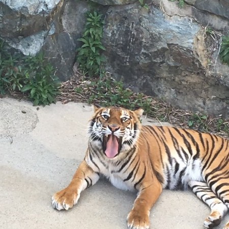 mukakin0131's avatar