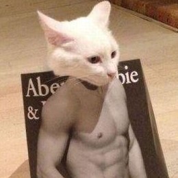 poteronk's avatar