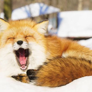 Imuka1368053's avatar