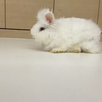 Eddywongtsz's avatar