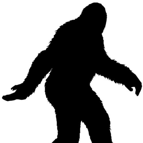 bigfoothunter1's avatar