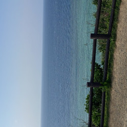 Manchin0756's avatar