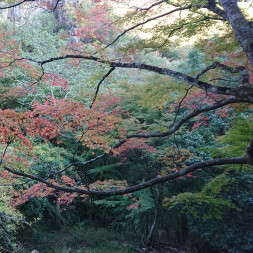 Othinpomaru's avatar