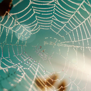 Yyusuwjjwnwn's avatar