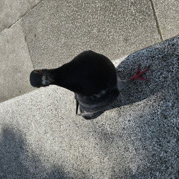 yamamoto0808's avatar