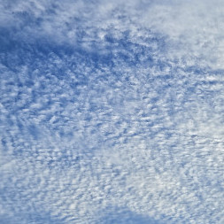 hiropon0407's avatar