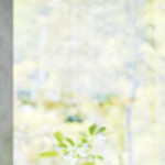 coconut0592's avatar
